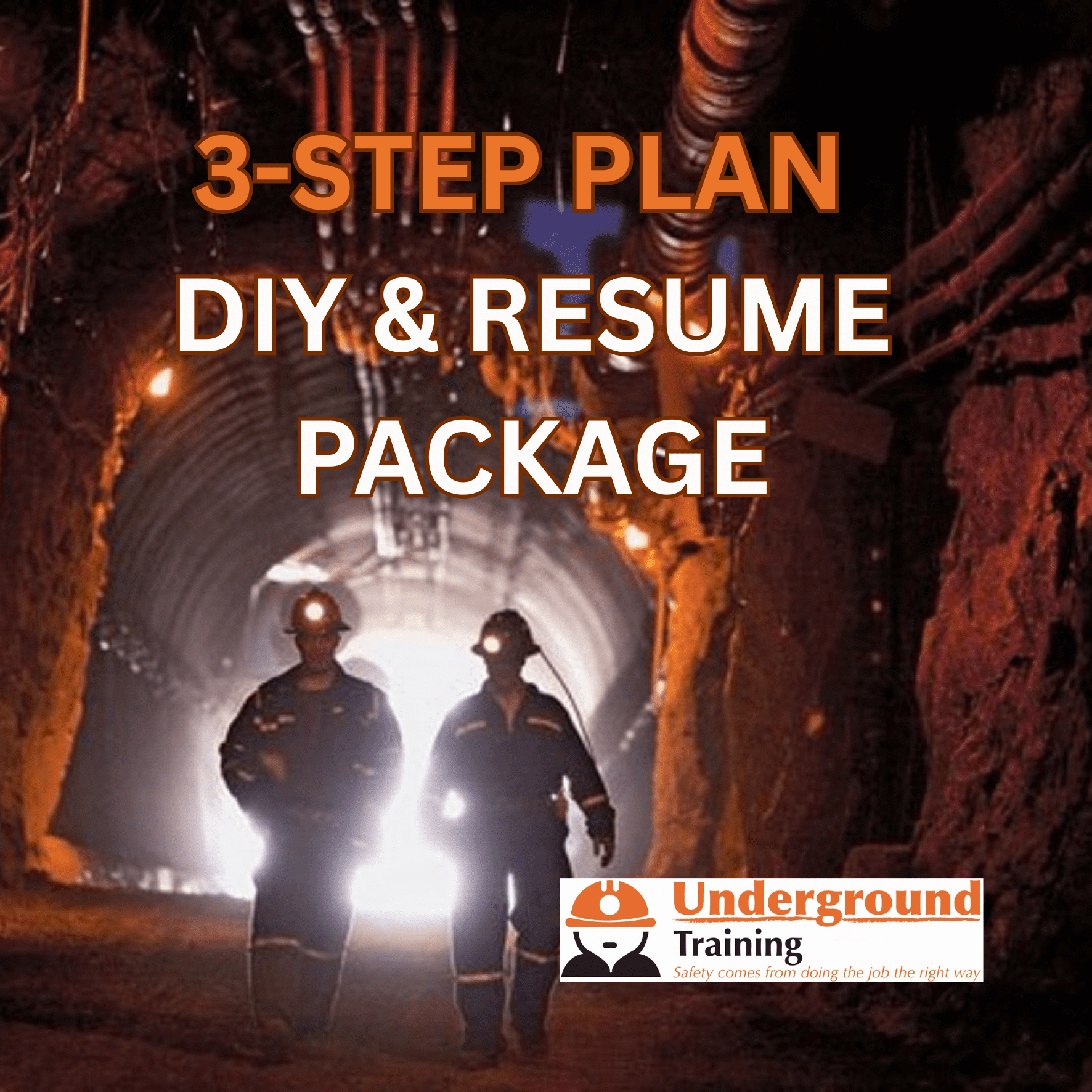 The 3 Step Plan DIY & Resume package